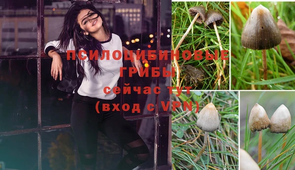круглые Арсеньев