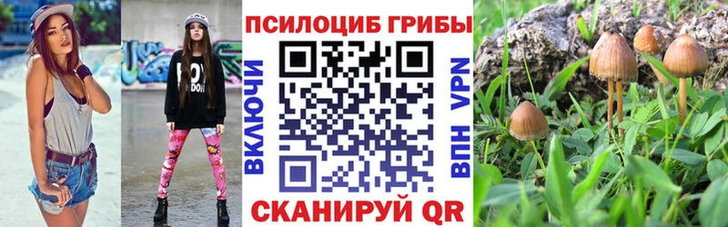 Галлюциногенные грибы Magic Shrooms  Певек 